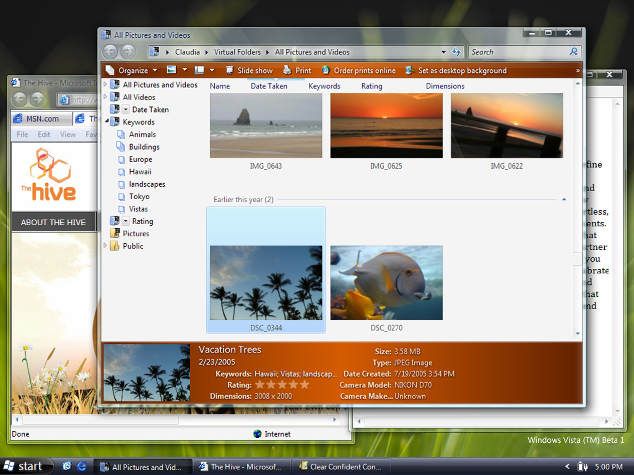 Появились первые скриншоты Windows Vista.